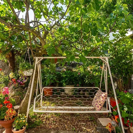 1 Bedroom Cozy In Apartamento *
