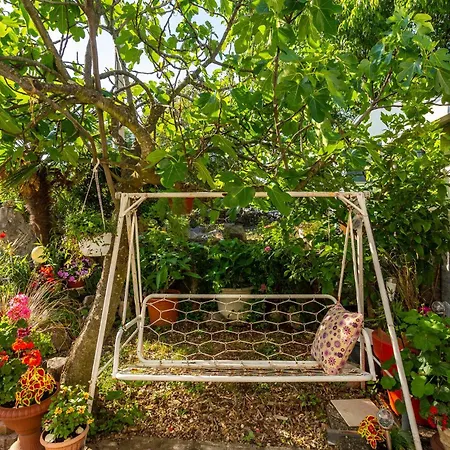 Pet Friendly In With Wifi Apartment *