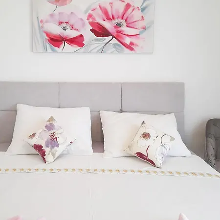 Apartment 1 Bedroom Cozy In